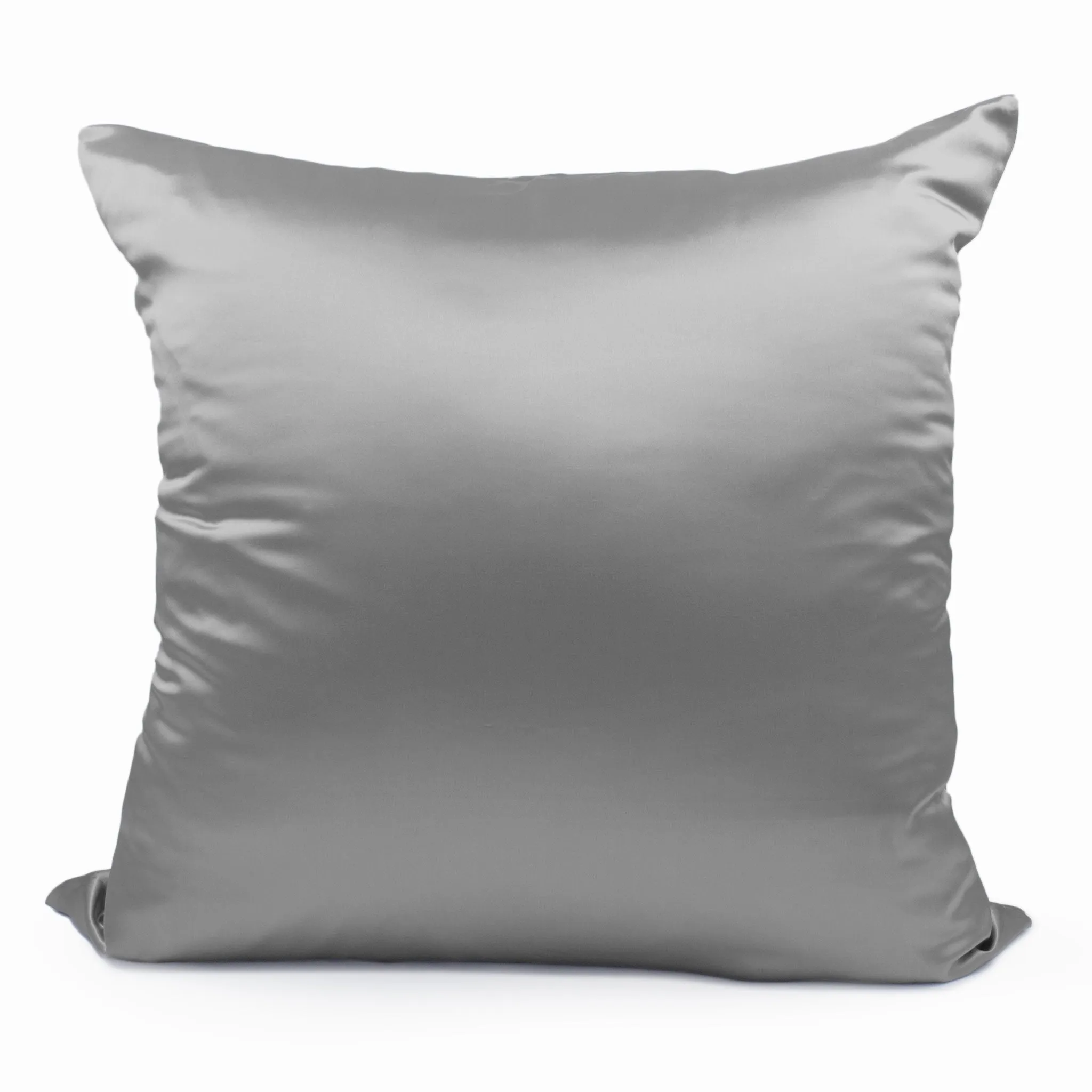 22 Momme Silk Euro Sham - Silver