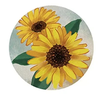 Absorbent Car Coasters