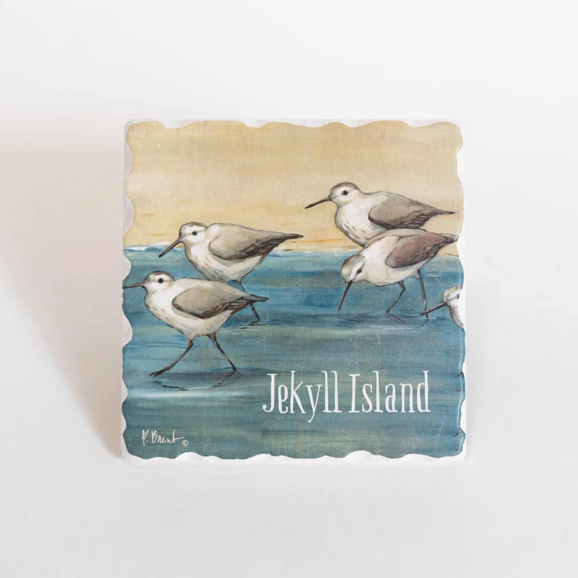 Absorbent Stone Coasters