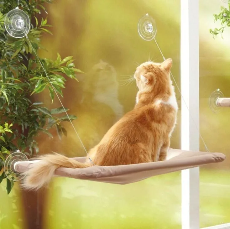 Comfortable Hammock for Cats