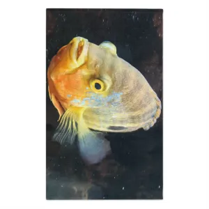 Grey Orange Fish Rally Towel, 11x18