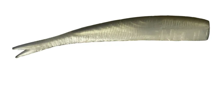 NLBN 8" Straight Tails