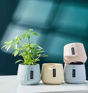 Stylish Indoor Ceramic Plant Pot - Single Decorative Planter