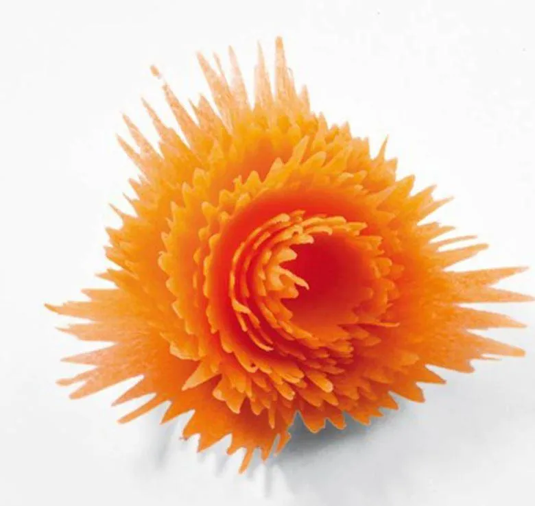 Vegetable Fruit Vegetable Roll Flower Cutter Slicer Carving Tools